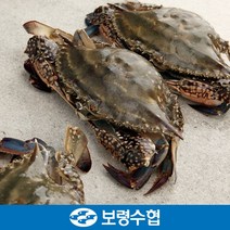 [보령수협] 국내산 급랭 봄 암꽃게(중) 1kg(4미)
