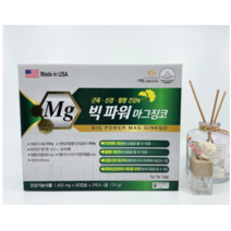 빅파워 마그징코 120캡슐, 1개, 120정