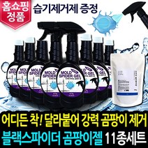 블랙스파이더 곰팡이젤 11종세트 욕실 화장실 초강력 두꺼비 곰팡이 제거 젤 습기제거제, 곰팡이젤 8통+스프레이건 2개+습기제거제, 400ml