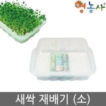 새싹 재배기 소, 새싹재배기(소), 1개