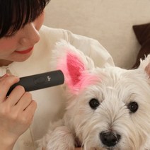 제디 UV 펫큐어라이트(강아지 고양이 염증치료기귀염증중이염 귓병예방 귀 관리기), 1