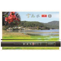 천류 설화수스페셜3 20~30칸 민물낚시대 붕어낚시대, 30