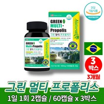 코스트코 약국 츄어블 브라질 그린 프로폴리스 액 아연 c 캔디 액상 캡슐 그린폴리스 면역에 좋은 영양제 페퍼민트 향, 3박스