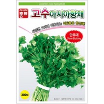 아시아종묘 고수씨앗 아시아향채고수 (500g)