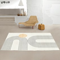 라이트 럭셔리 카펫 심플 추상 거실 티테이블 매트 ins 겨울 가정용 서재 침실 풀하우스 카페트 풀하우스