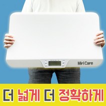 한경희 정확HAAN 인바디 체중계, HEWM-B100WT