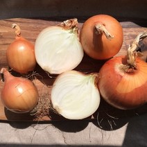 아삭하고 단단한 프리미엄 국내산 씨알마루 양파, 5kg S (소)