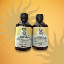 퓨리파잉비듬샴푸 다비네스퓨리파잉 250ml 1+1