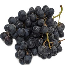 FUNET 씨없는 거봉 적포도 청포도 2kg, 1박스, 51_국산 캠벨 포도 2kg