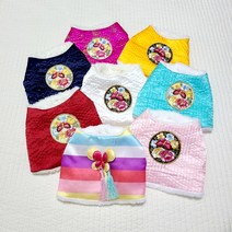 도기코디 나비자수 털배자 강아지한복, 민트