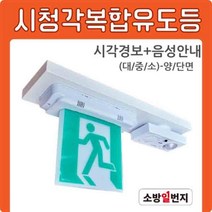 시청각복합유도등 중형 양면 비상구 피난구 음성안내음 시각경보기 소방일번지