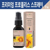 프리미엄 프로폴리스 스프레이 뿌리는 구강 항균 액상 원액 추출물 항산화 영양제 먹는 비프로폴리스 고함량 플라보노이드, 팜그린 프리미엄 프로폴리스 스프레이 30ml, 1세트