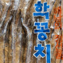 국산 삼천포*햇* 학꽁치포 300g x1 봉 해남의 정선품 무방부제 식품 (대림수산), 1봉