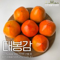 산지에서바로 품질선별 최상품 대봉감 대봉 홍시 특대과 대과 중과 소과 3kg 4.5kg 10kg, 대봉감 3kg 특대과