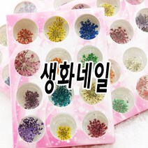 생화네일 드라이 플라워 글리터 꽃 네일 압화 NT78232X6S틀엦새듳밮, 동글 꽃 글리터세트