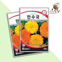 만수국 60립 세계종묘 화훼류 씨앗 메리골드