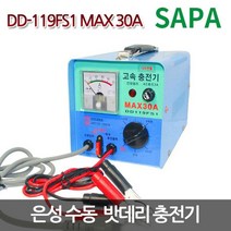 은성 딩동파워 수동 배터리 충전기 [DD-119FS1 MAX 30A 12V전용200A이하]/급속수동충전기 자동차/농기계/골프카/딥싸이클