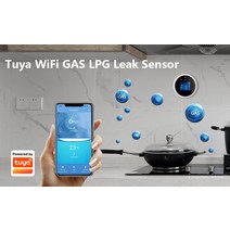 일산화탄소측정기가스 경보 누출 센서 tuya 연기 wifi co2 일산화탄소 프로판, 02 EU PLUG