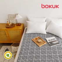 보국 에어셀 전기요 캠핑 전기 장판 매트 담요 2인용 워셔블 국내생산 BKB-2601D