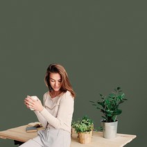 월플랜 만능 풀바른벽지 합지 FT93413-8 페인팅 딥그린, 만능풀바른벽지, 340cm