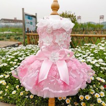 포인트 치마 공주옷 데일리 파티 강아지 드레스 결혼 축하 영상촬영 나시 봄