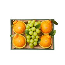 달콤 샤인머스캣&한라봉 1.9kg
