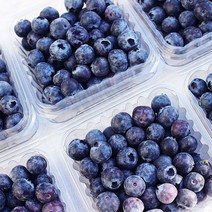수입블루베리 블루베리 칠레산블루베리 미국산블루베리 500G 1KG 1.5KG, 수입블루베리 1.5KG (125g X 12팩)