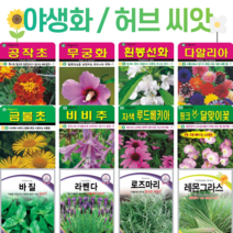 꽃씨 모음 노지 월동 사계절 봄파종 다년생 야생화 할미꽃 분홍달맞이 라벤다 봉선화 무궁화 꽃씨앗, 허브23. 타임 300립
