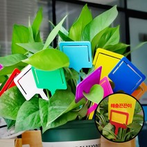 싸다구 팻말 카드 네임 라벨 화단 이름표 나무 291 KK 꽂이 화분 식물, 핑크