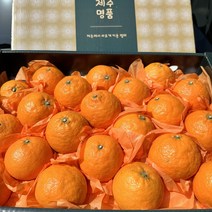 산지직송 고당도 제주 카라향, 5kg (선물용 15-30과)