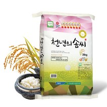 2022 천년의솜씨 신동진 쌀 20kg 상등급, 단품