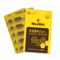 종근당건강 비염 프로폴리스 효과 항산화 만성 염증 면역력 구내염 영양제 플라보노이드