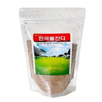 SN월드 한국들잔디 1만립 4만립 200g 400g 소포장 대포장 잔디씨앗 산소잔디, 한국들잔디200g(중통), 1개