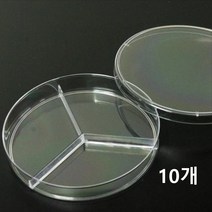 과학실 세균배양실험 3분할 샬레 10개 페트리디쉬 생물 시험관 측정 액체 교육용