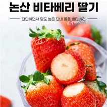 논산 GAP인증 햇딸기 설향딸기 비타베리딸기 800g 12월 제철 첫수확 산지직송 배송 택배, 비타베리 800g(24~30입 개당25g내외)