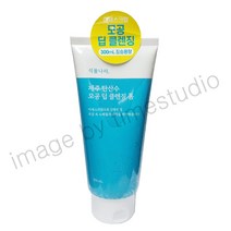 식물나라 제주탄산수 딥 클렌징폼300ml, 2개, 300ml