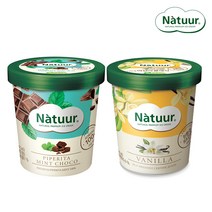 나뚜루 파인트 474m 2개 아이스크림, 23.민트초코+바닐라, 474ml