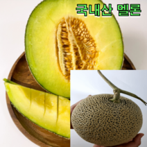 국내산 멜론 4kg 8kg 제주 멜론 머스크 멜론 도당도 멜론 후숙과일, 국내산 머스크멜론 8kg