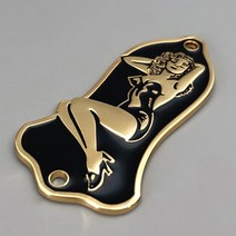 기타케이스 Gibson Lespaul 기타 웰 액세서리 용 트러스로드 메탈 커버, [02] 금