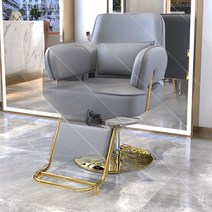 미용실 의자 이발소 메이크업 높낮이 리프트 회전 특수의자 등받이, 공식 표준, 그레이, 1개
