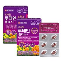 일양약품 프라임 루테인 플러스 마리골드꽃추출물일양루테인 500mg X 30캡슐 X 2박스