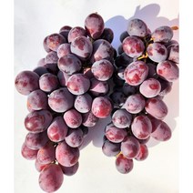 고당도 캔디하트 씨없는 먹기편한 포도 프리미엄 20 Brix이상, 800g x 3팩, 3개