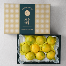 과일선물세트 제주 특산품 황금향 선물세트 명절 추석, 1박스, 3kg (5-15과 부직포가방 포함 )