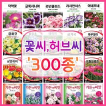 꽃씨 꽃씨몰 300종 허브씨 씨앗 다년생 노지월동 야생화 꽃씨앗 봄 제라늄 다알리아 작약, 240. 헤어리베치 20g