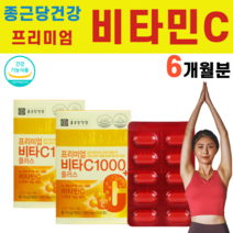 프리미엄 비타민C 비타민씨 비타씨 셀렌 마그네슘 결정셀룰로스 파라다이스넛 추출물 비타민씨천 비타씨천 아스코르빈산 항산화제 수용성, 2박스