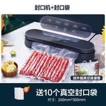 진공 포장기 가정용 고기 생선 비닐 압착기 실링 채소