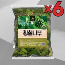 6개 묶음 국내산 황칠나무 500g 황칠 황칠차 말린 건조 한방차 비건 허브