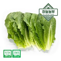 하늘농부 친환경 로메인 150g