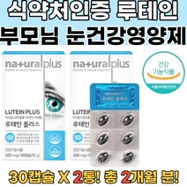 식약처인증 눈건강필요한사람 루테인 눈이침침 2통 눈건조 각막 망막박리 비문증 아이브라이트 비문증영양제 망막변성영양제 황반변성영양제 지아잔틴영양제 황반변성수술 눈영양제루테인 눈이물감
