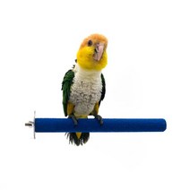 일자 샌드 앵무새 발톱갈이 횃대 (중) 25cm, 랜덤발송